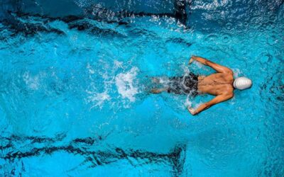 Plangent full body Workouts Or Body Concept Splits ?