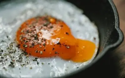 How High Protein diet can be beneficial for Weight Loss ?